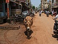 Tanjavur-0016
