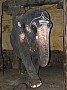 Tiruchirapalli-0016
