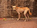 Bojpur-0003