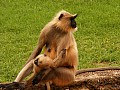 Chittorghar-0002