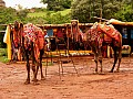 Chittorghar-0026