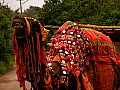 Chittorghar-0029