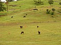 Kumbalghar-0007