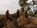 Kumbalghar-0012