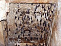 Modera Sun Temple-0012