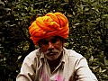 Mount Abu-0004