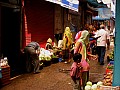 Mount Abu-0007
