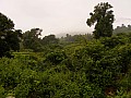 Orissa-0015