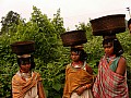 Orissa-0016