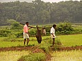 Orissa-0017