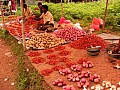 Orissa-0020
