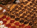 Orissa-0022