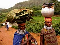 Orissa-0038
