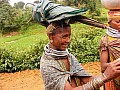 Orissa-0041