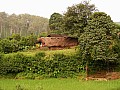 Orissa-0045