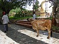 Palitana-0002