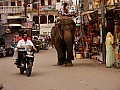 Udaipur-0009