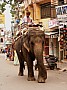 Udaipur-0024