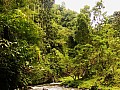 Bali-0011