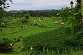 Bali-0019