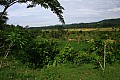 Bali-0021
