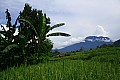 Bali-0022