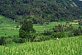 Bali-0023