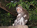 Bali-0033