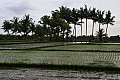 Bali-0043