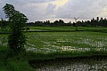 Bali-0044