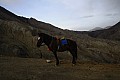 Mount Bromo-0013