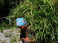 Mount Merapi-0011