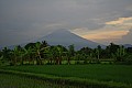 Near Borobudur-0002