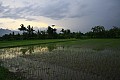 Near Borobudur-0003