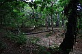 Rinca & Komodo-0028
