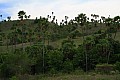 Rinca & Komodo-0029