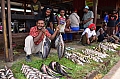 0010 Wamena