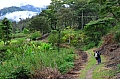 0017 Baliem Valley