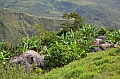 0032 Baliem Valley