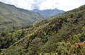 0039 Baliem Valley