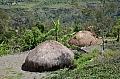 0040 Baliem Valley