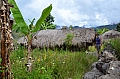 0048 Baliem Valley