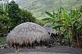 0052 Baliem Valley
