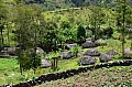 0103 Baliem Valley