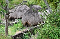 0111 Baliem Valley
