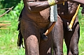 0142 Baliem Valley - Jiwika