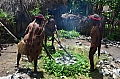 0193 Baliem Valley - Jiwika