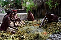 0204 Baliem Valley - Jiwika