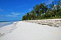 004 Diani