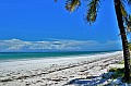 007 Diani